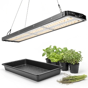 Microgreens Grow Lights