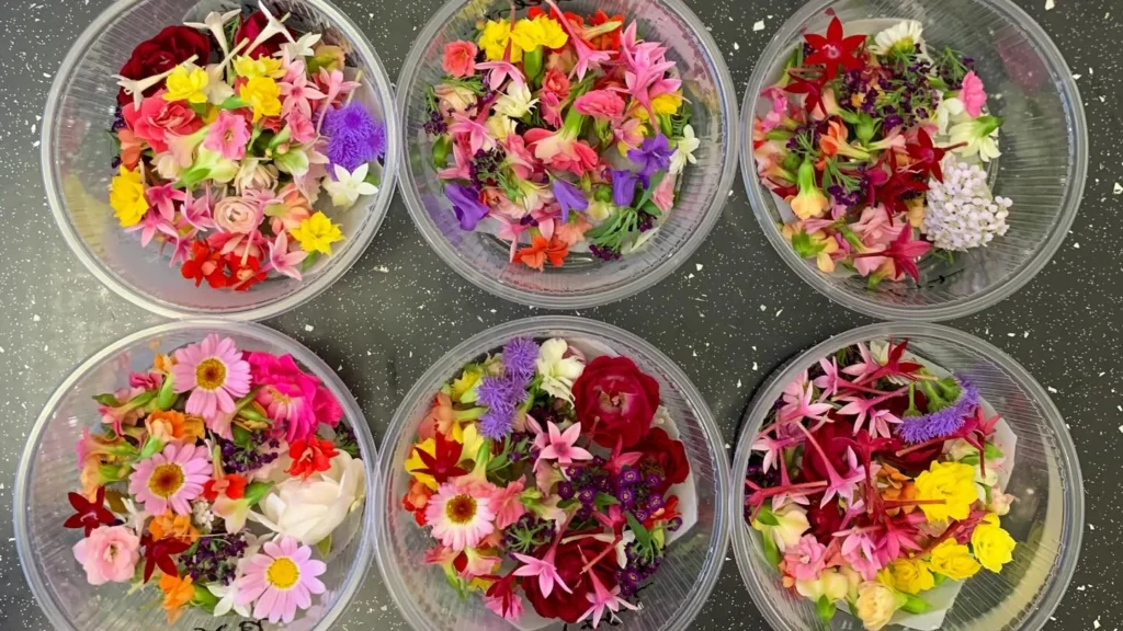How to Grow Edible Flowers Indoors: Benefits and Recipes