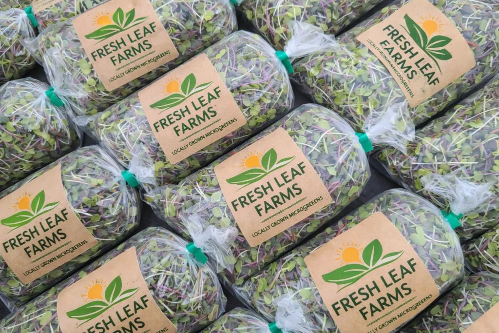 Microgreens Business 2026: Real Costs, Real Profits, Real Truth